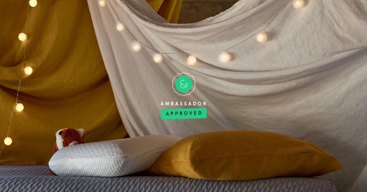 Ambassador Approved: Top Gift Picks for the Holiday Season