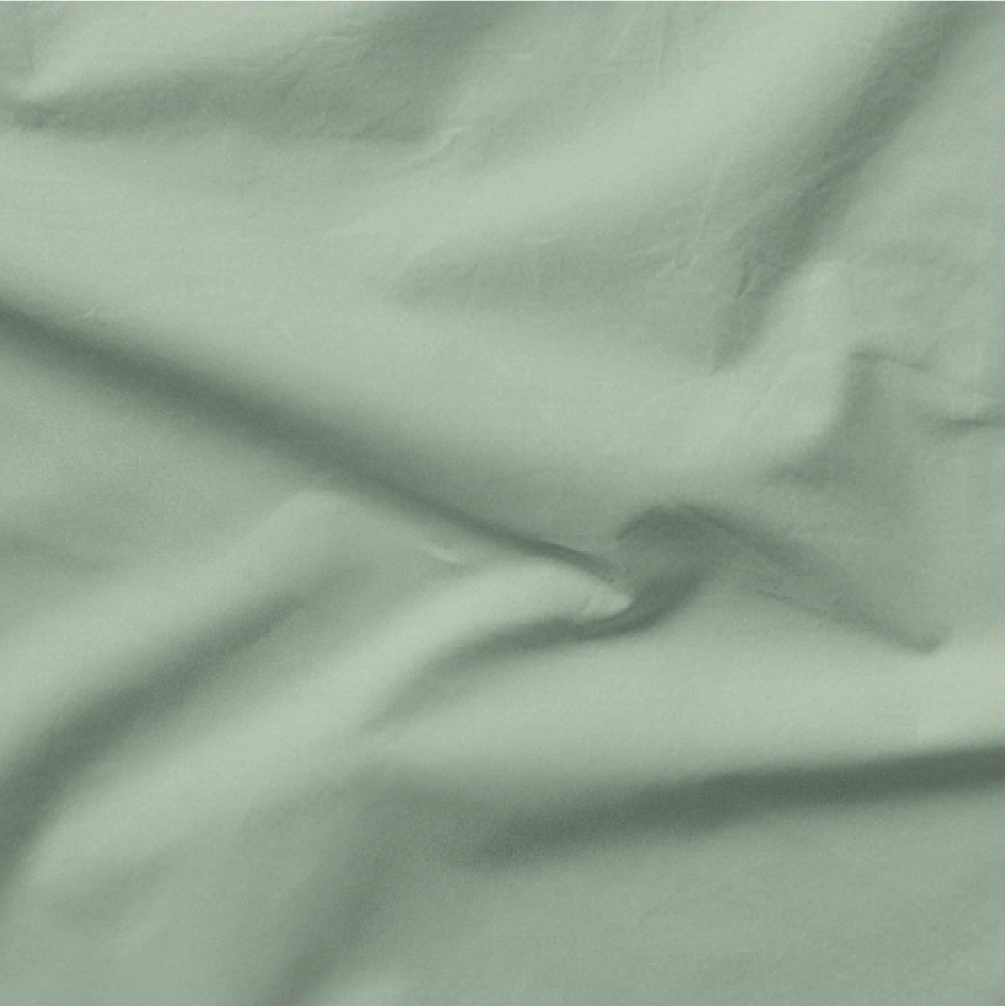 Classic Percale Duvet Set - Sage