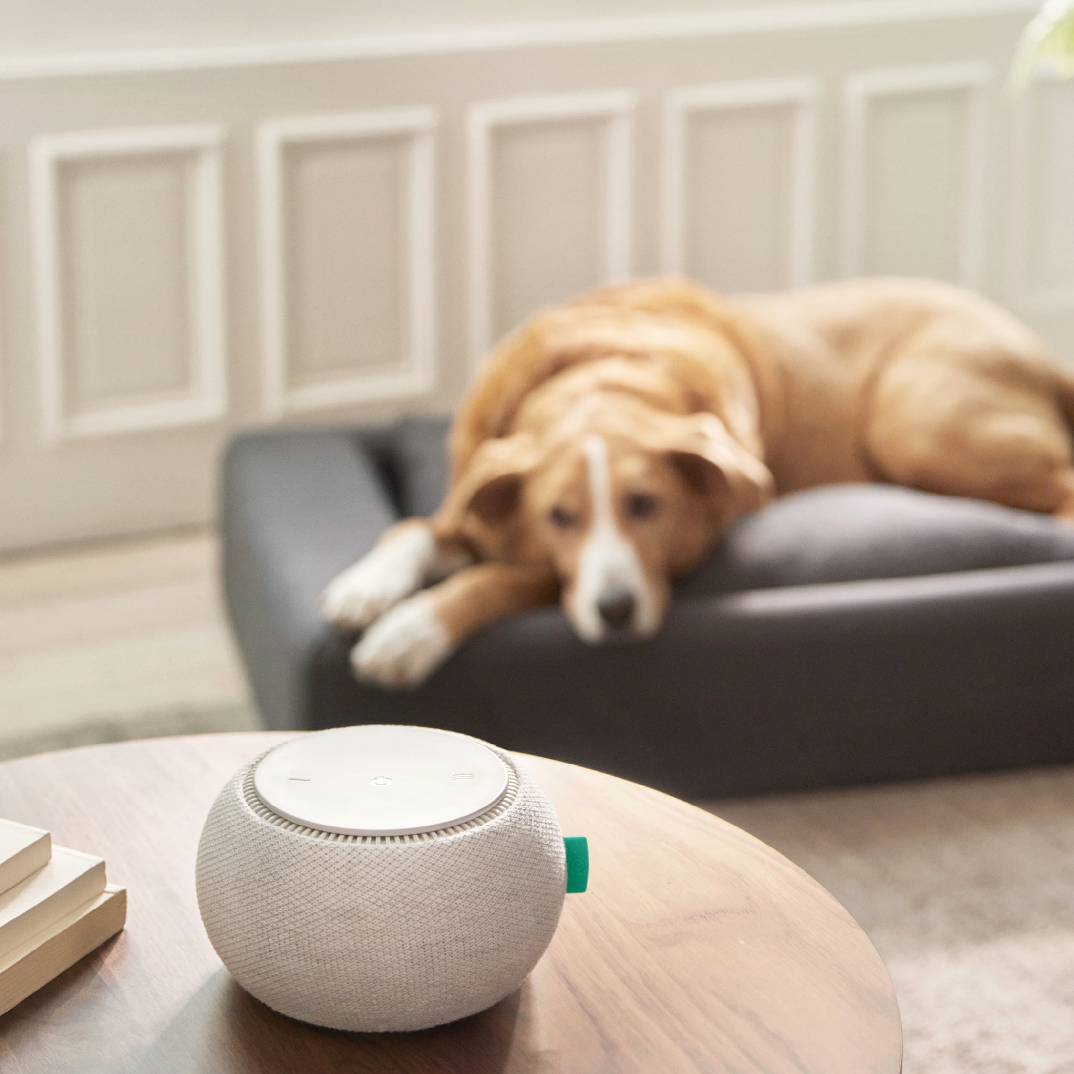 White Noise Machine (Copy)