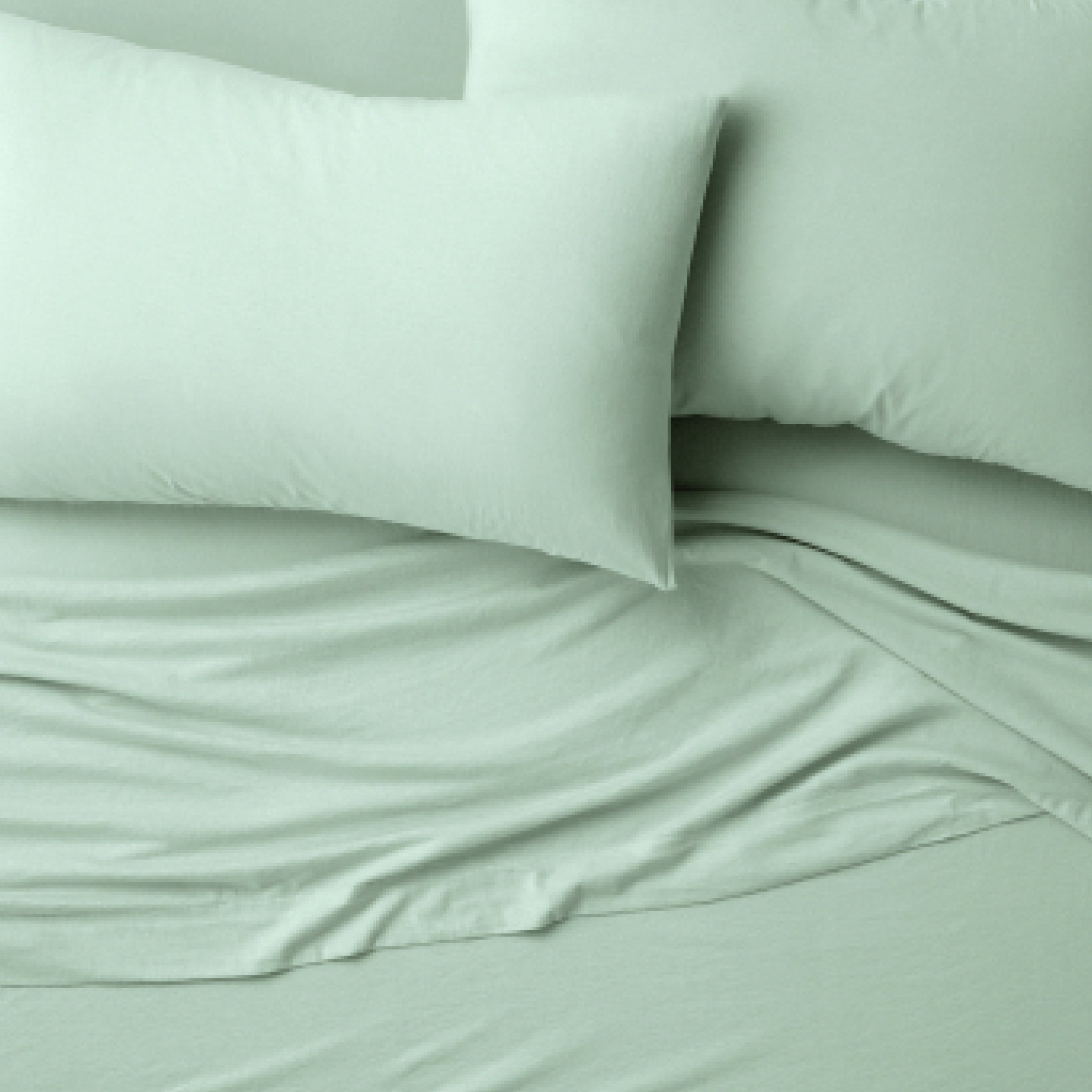 Organic Jersey Sheet Set - Pistachio